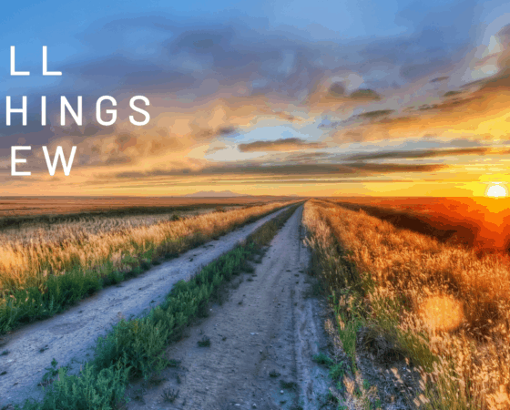 All Things New – 3