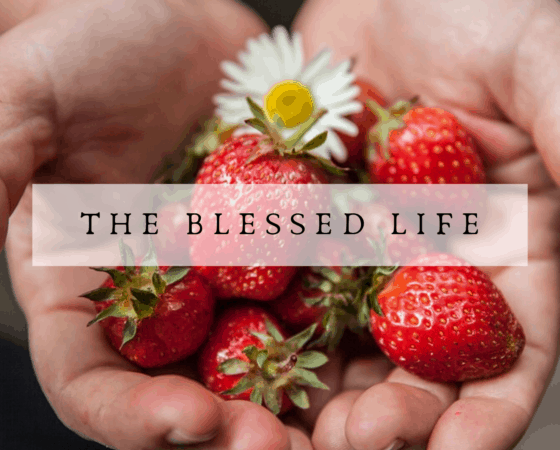 The Blessed Life – 2