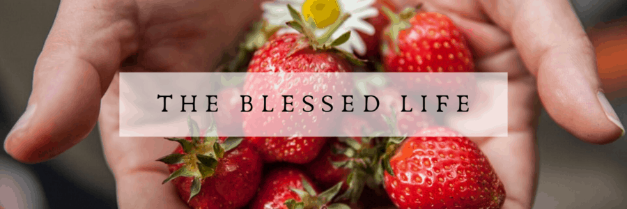 The Blessed Life – 2