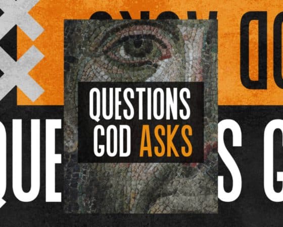 The Questions God Asks – 1